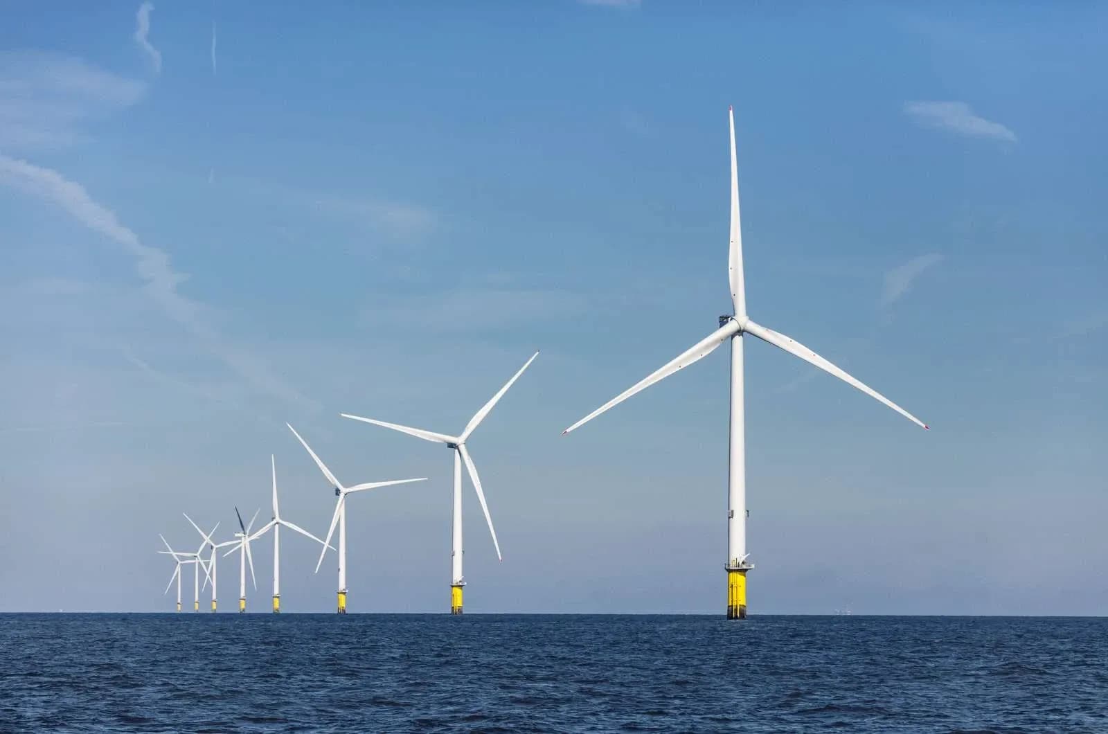 The Offshore Energy Alliance